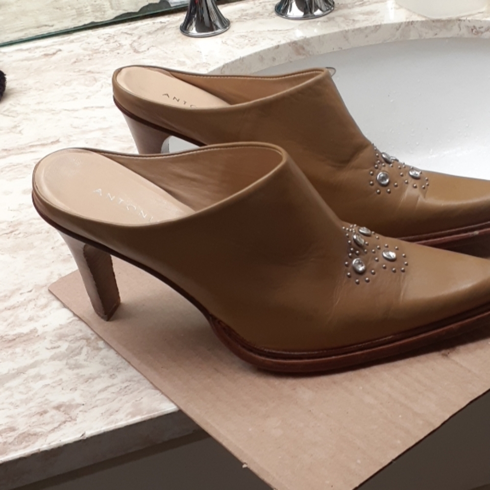 Shoe boot